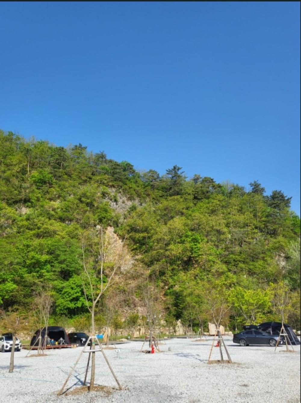 파인트리캠핑장