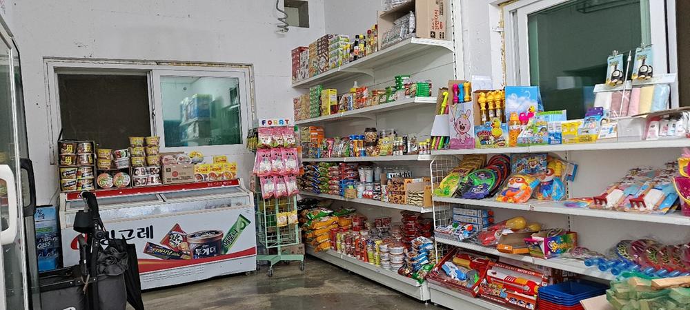 파인트리캠핑장