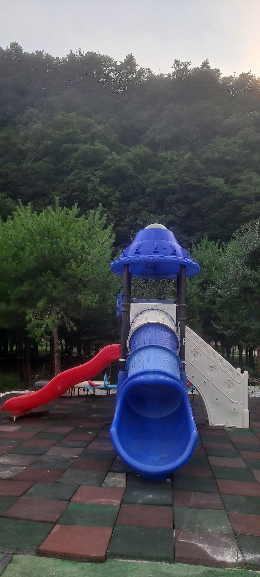 파인트리캠핑장