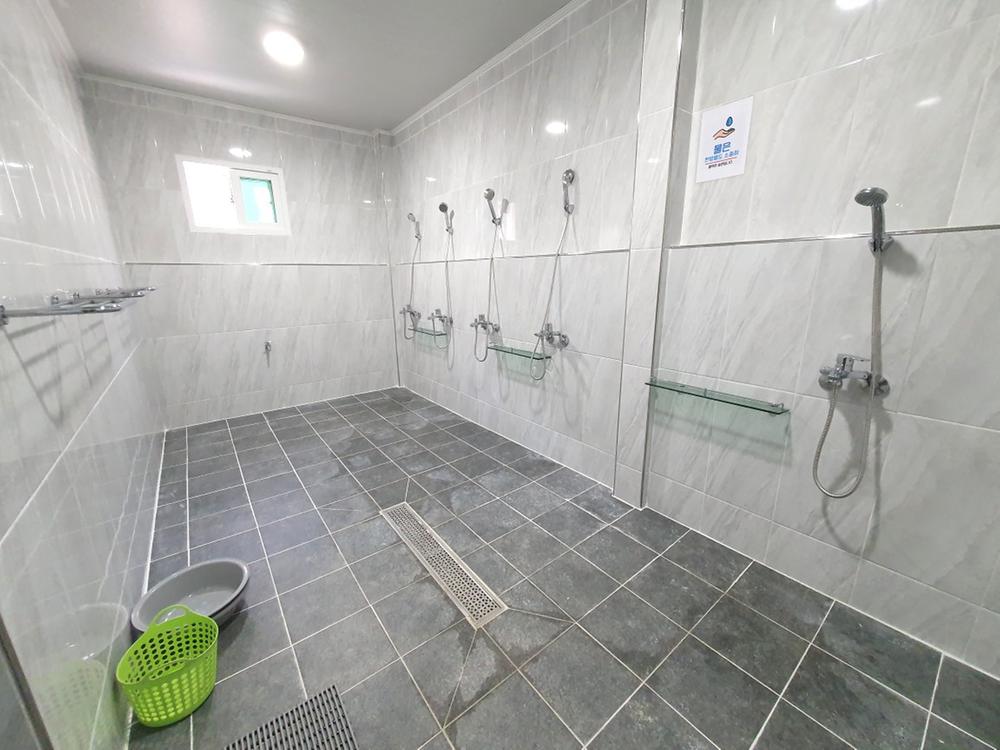 파인트리캠핑장