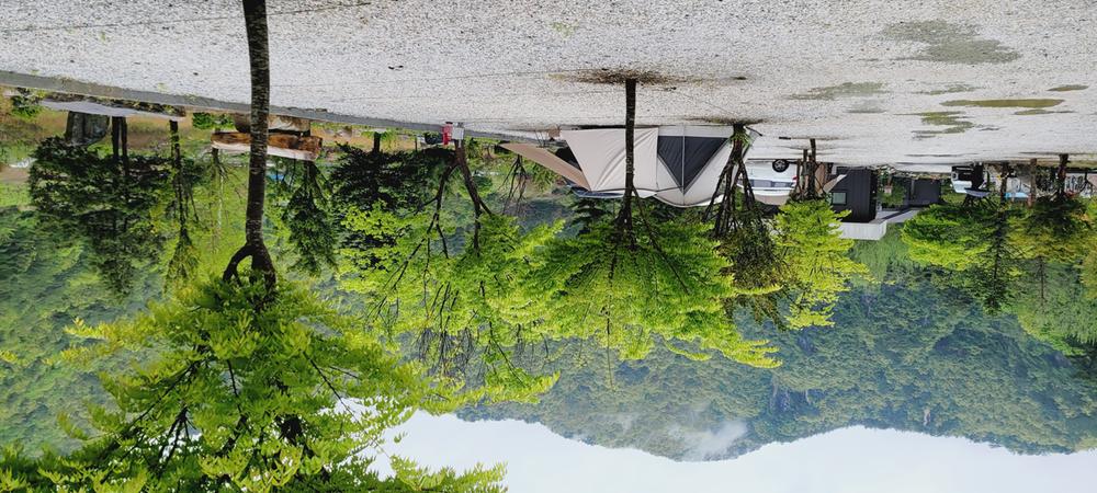 파인트리캠핑장