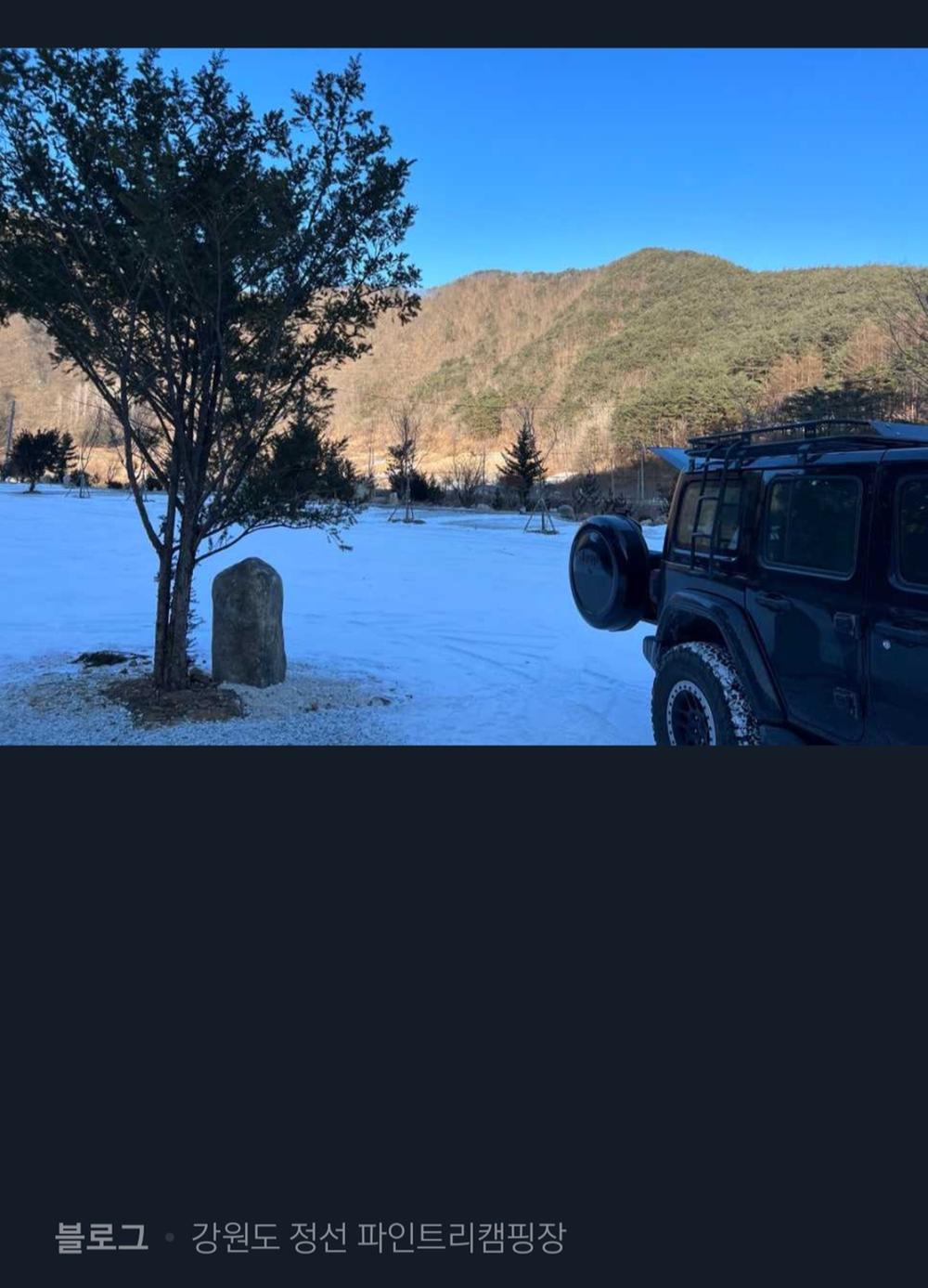 파인트리캠핑장