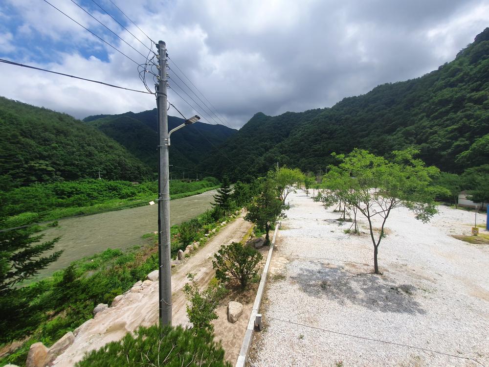 파인트리캠핑장