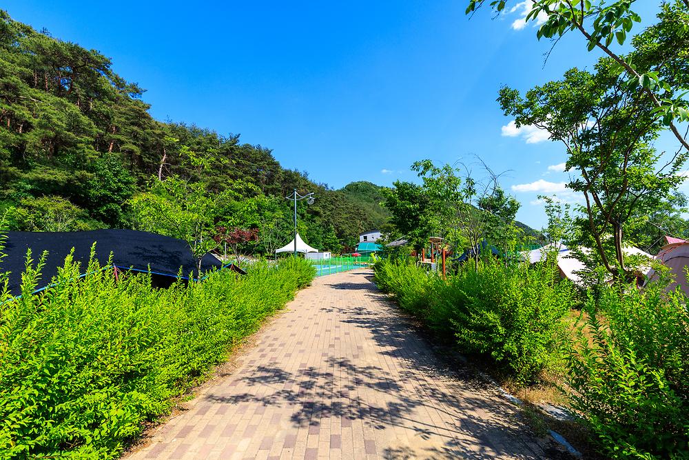 남작골 농촌체험휴양마을 야영장