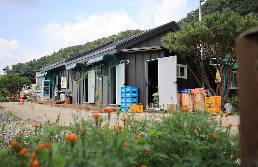 수입리캠핑장