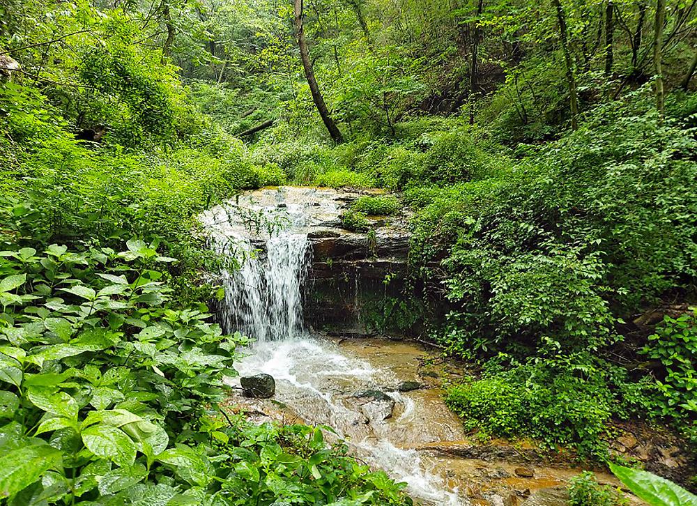 바람숲야영장