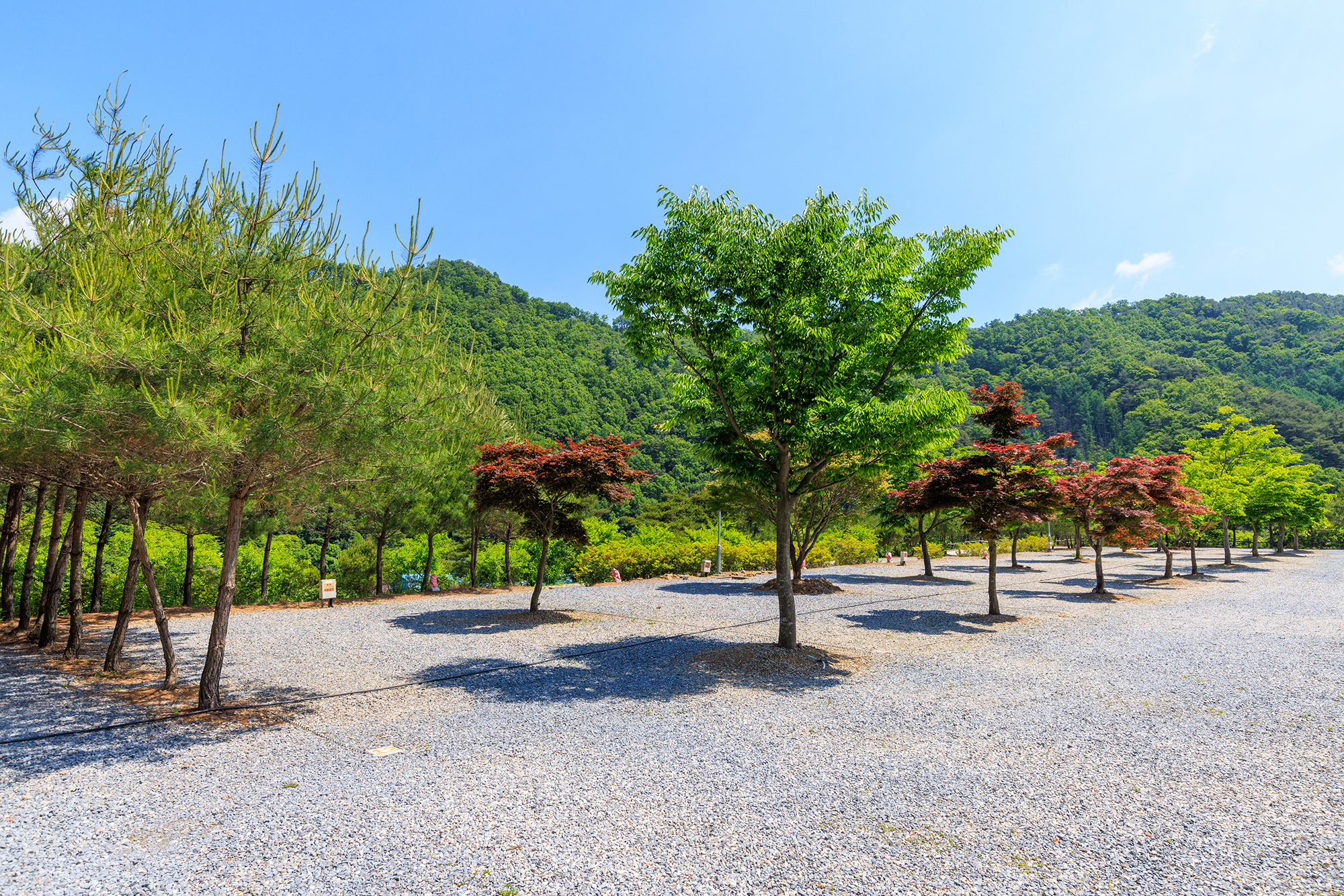 별바라기 캠핑 펜션