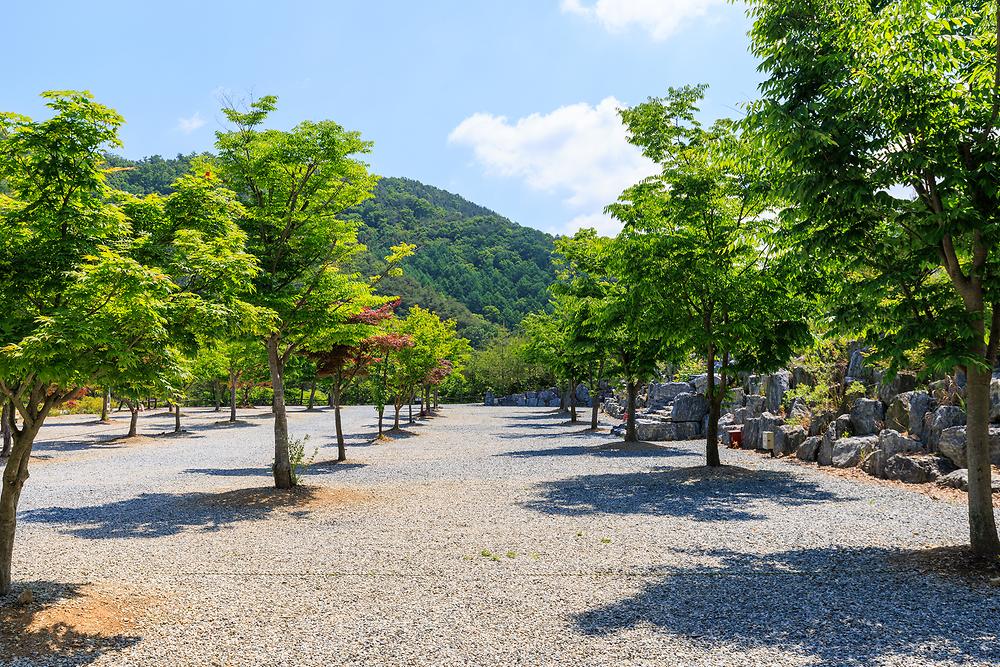 별바라기 캠핑 펜션