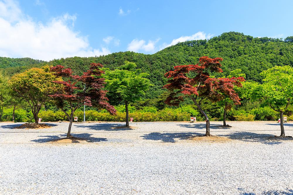 별바라기 캠핑 펜션