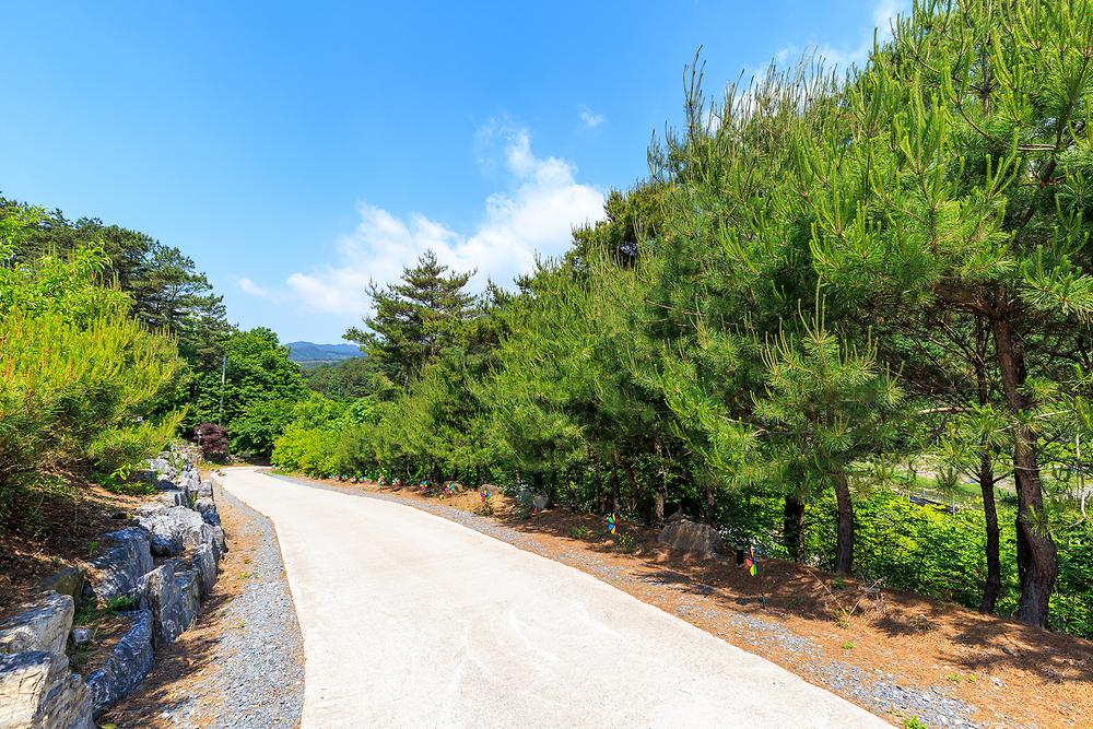 별바라기 캠핑 펜션
