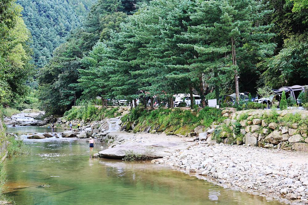 산정호수 돌고래 캠핑장