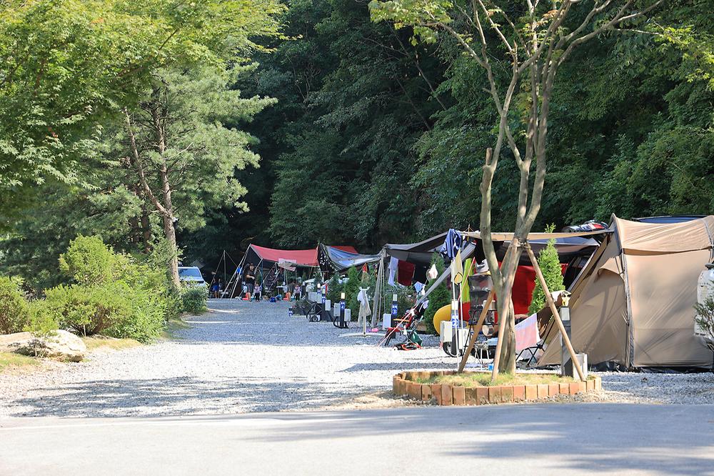 산정호수 돌고래 캠핑장