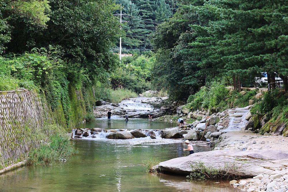 산정호수 돌고래 캠핑장