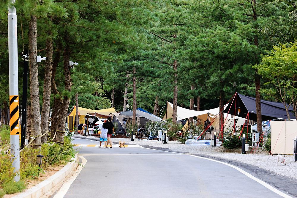산정호수 돌고래 캠핑장