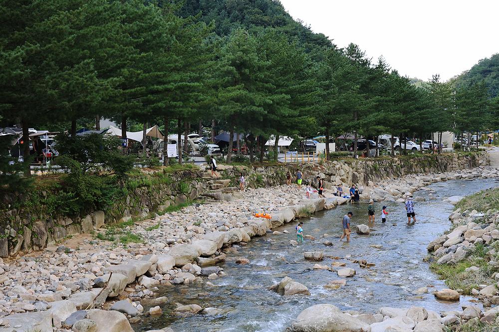 산정호수 돌고래 캠핑장