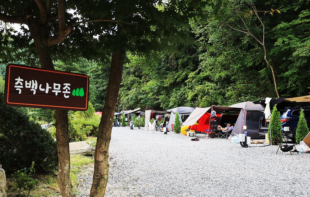 산정호수 돌고래 캠핑장