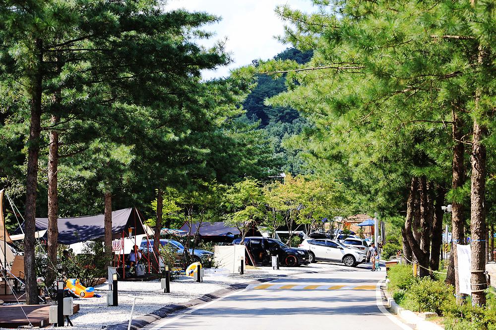 산정호수 돌고래 캠핑장