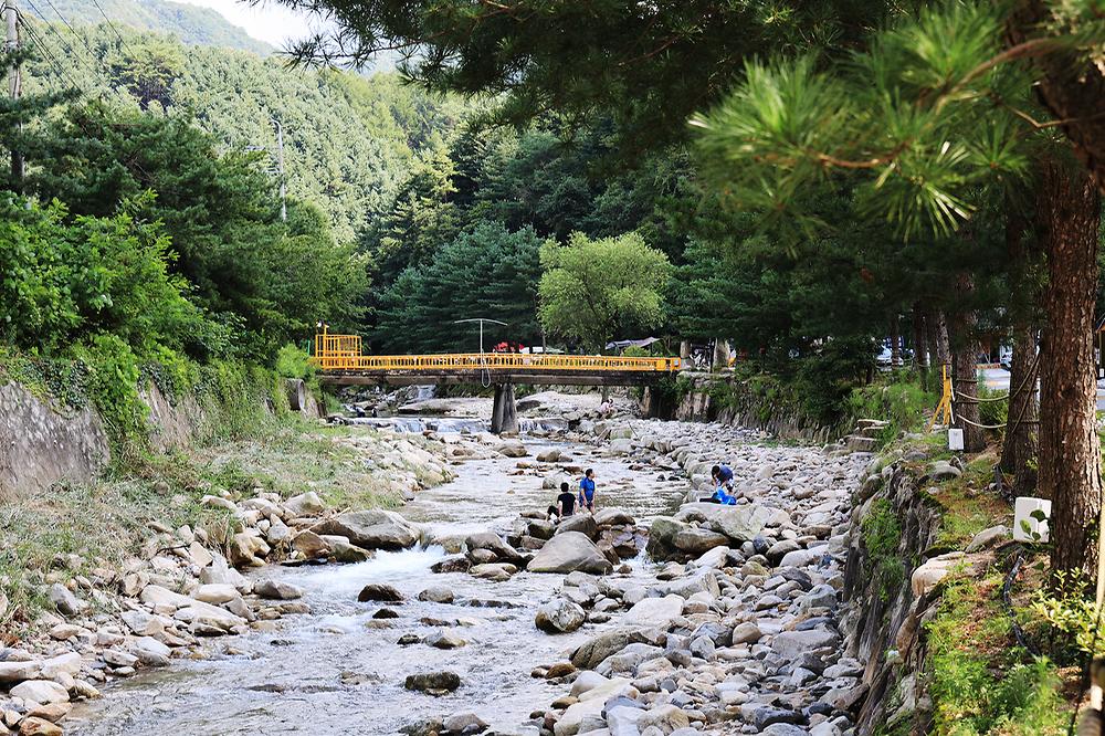 산정호수 돌고래 캠핑장