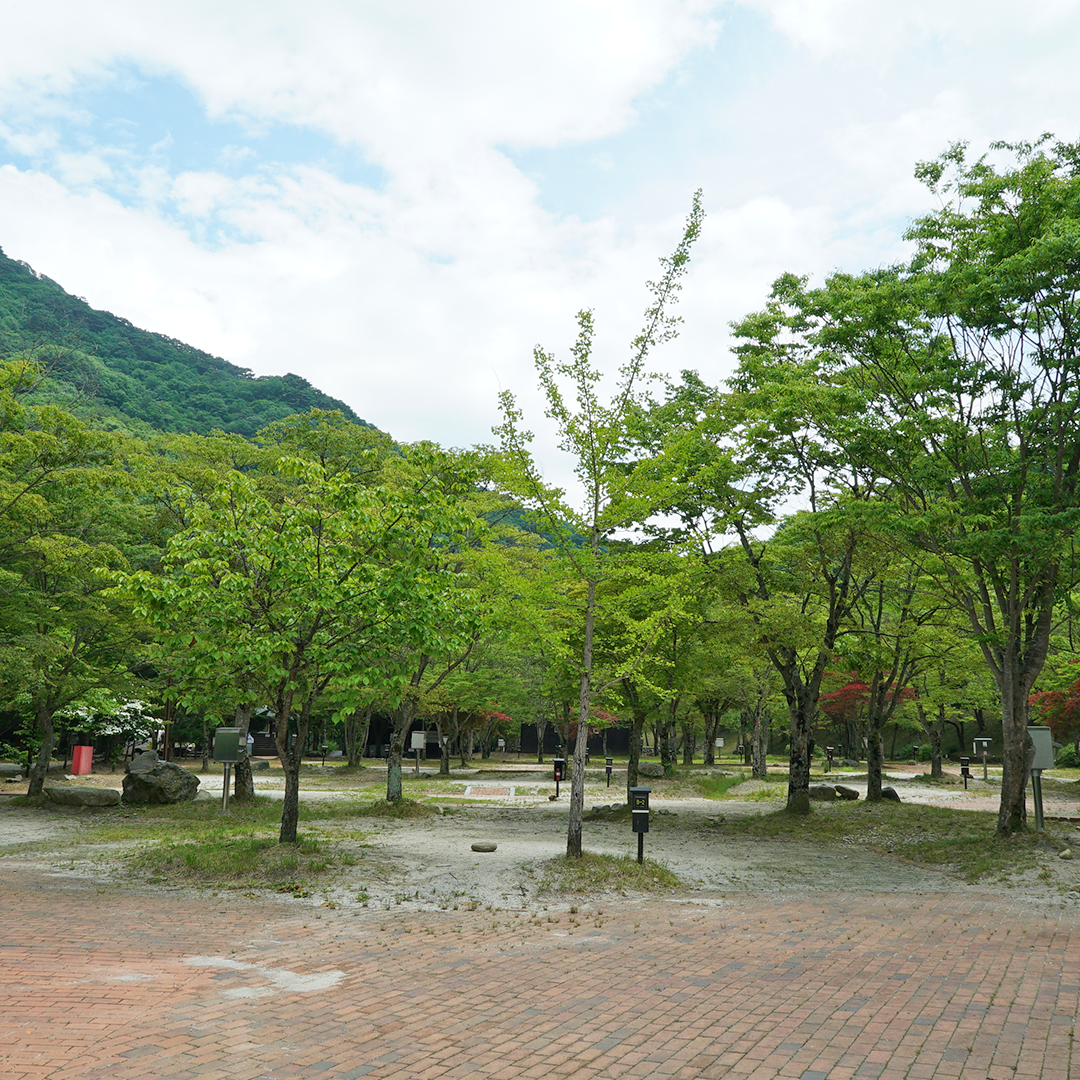 덕유대자동차야영장