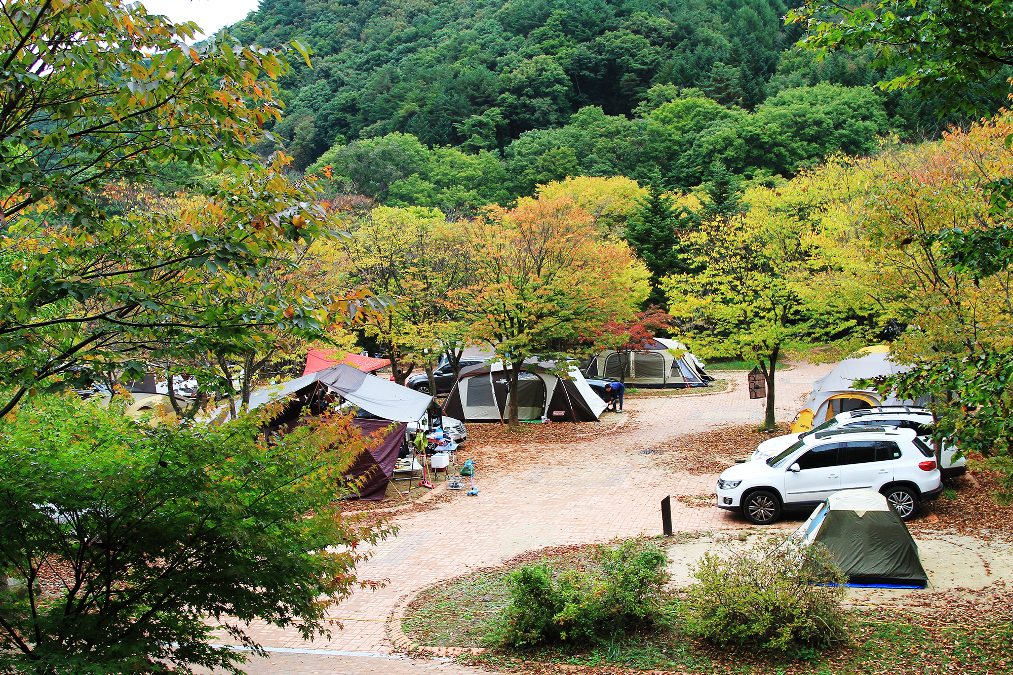 덕유대자동차야영장