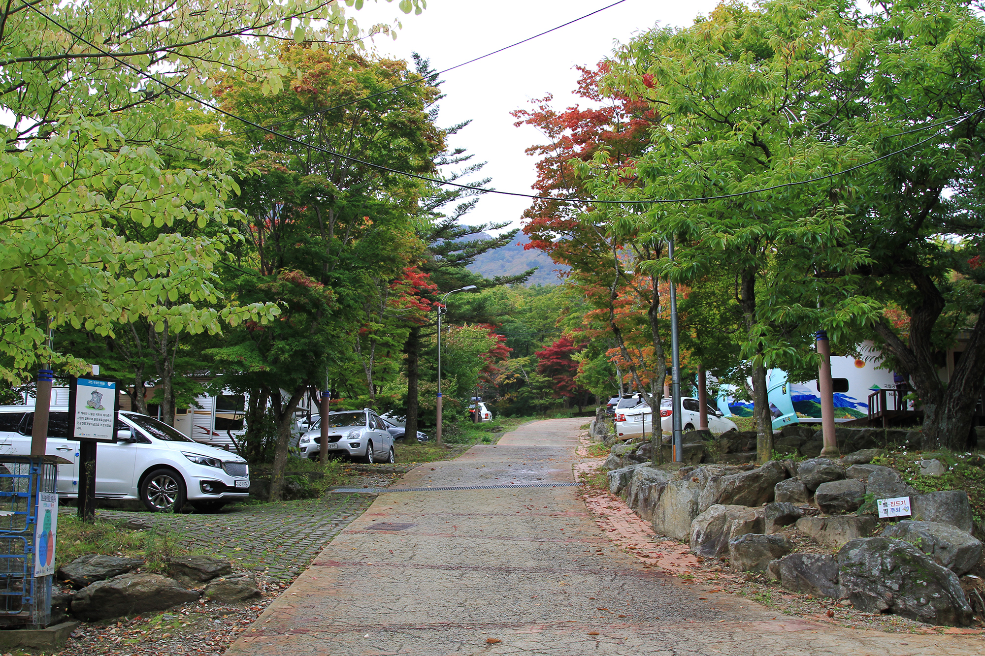 덕유대자동차야영장