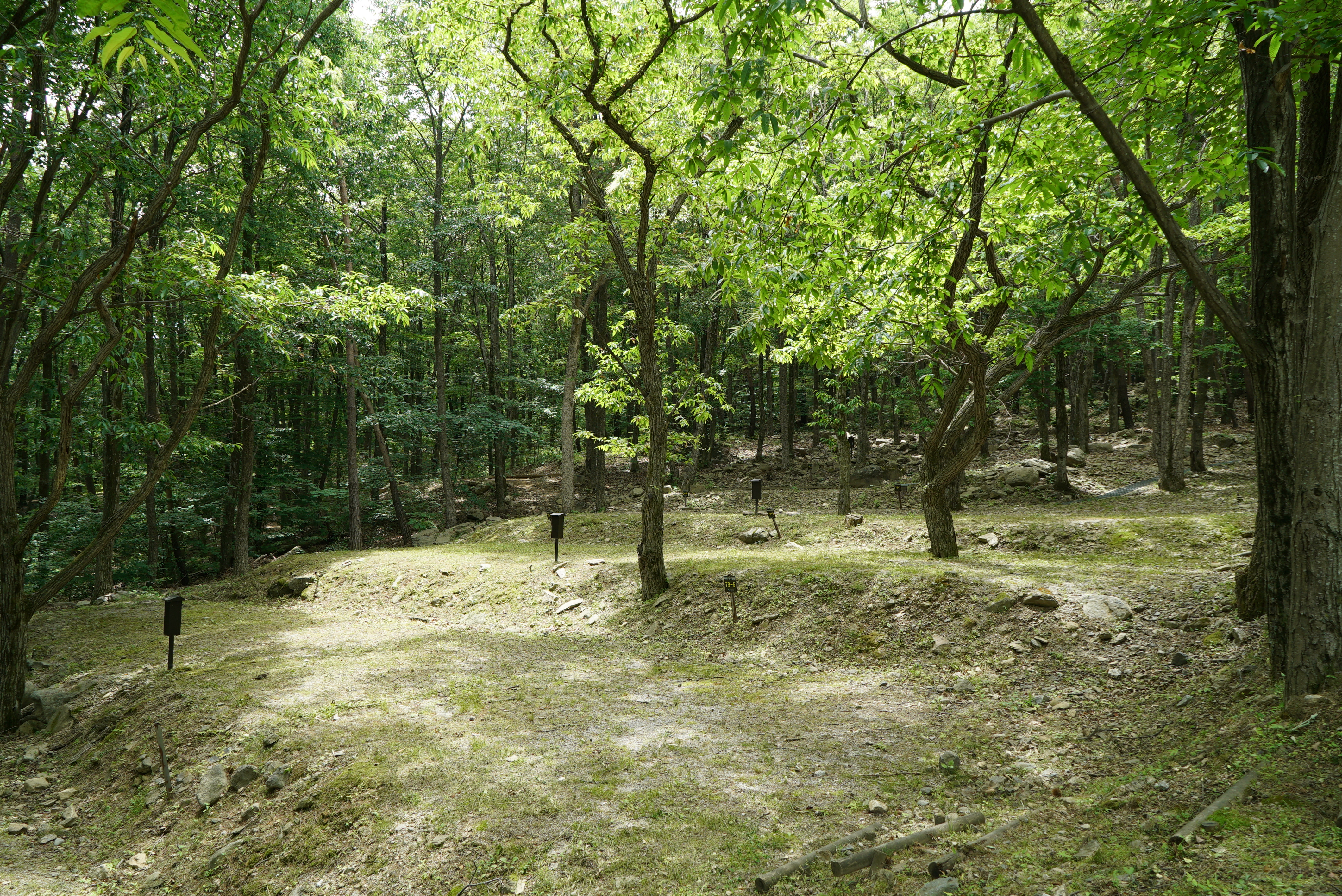 덕유대자동차야영장