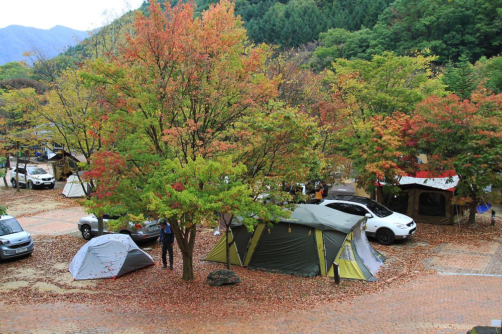 덕유대 자동차야영장