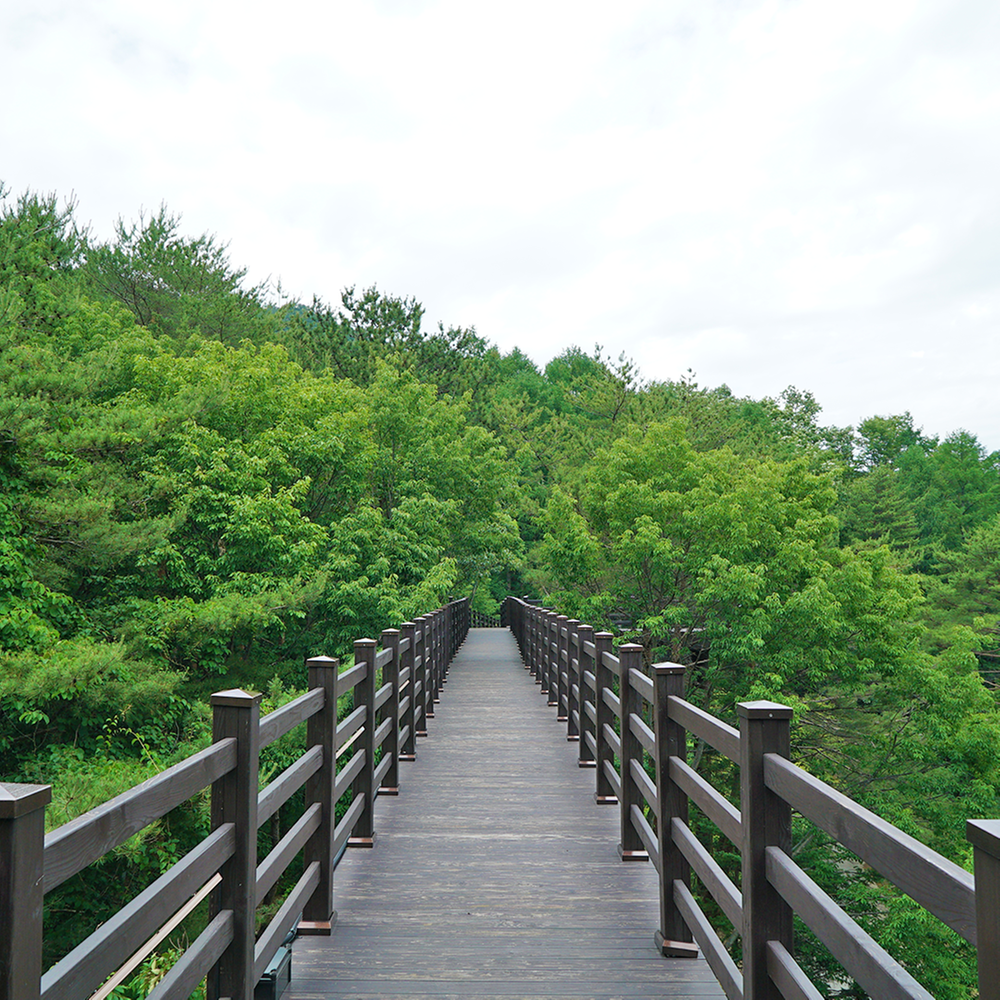 덕유대자동차야영장