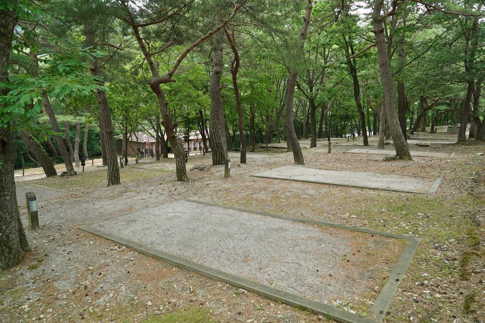 덕유대자동차야영장