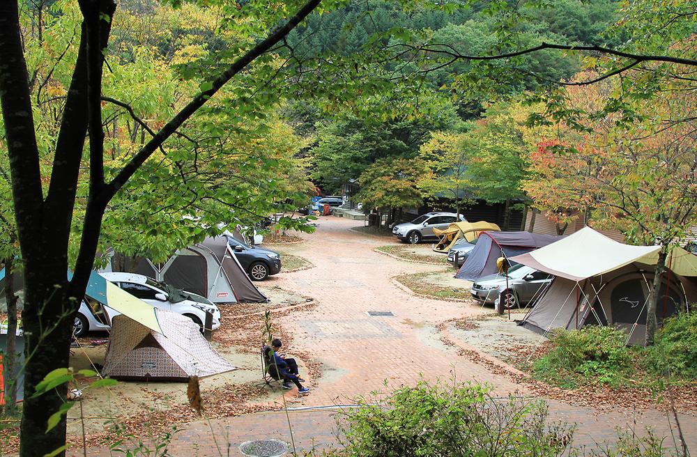 덕유대 자동차야영장