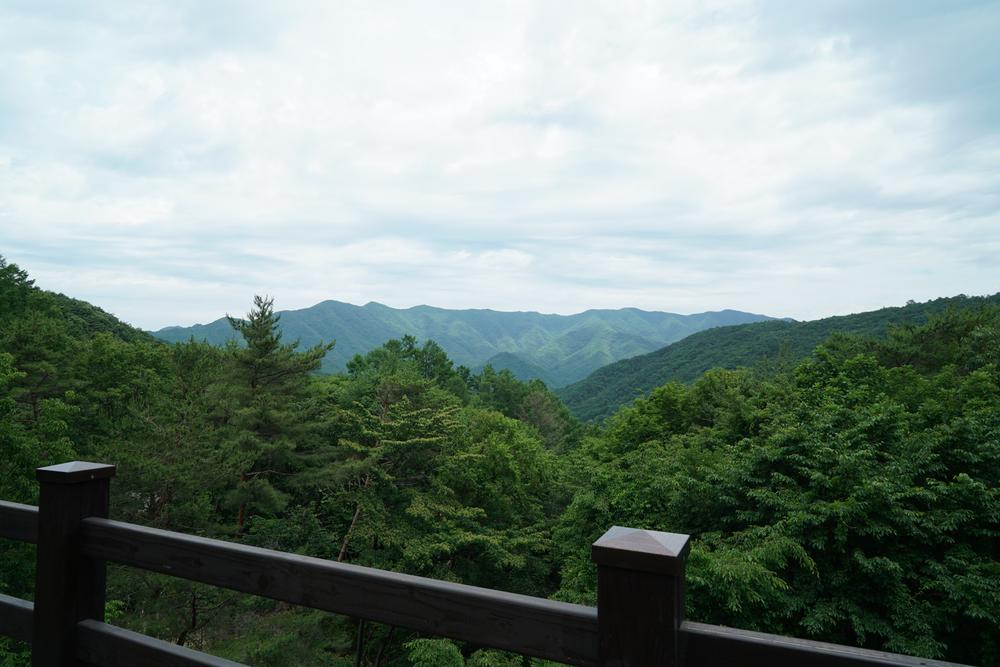 덕유대자동차야영장