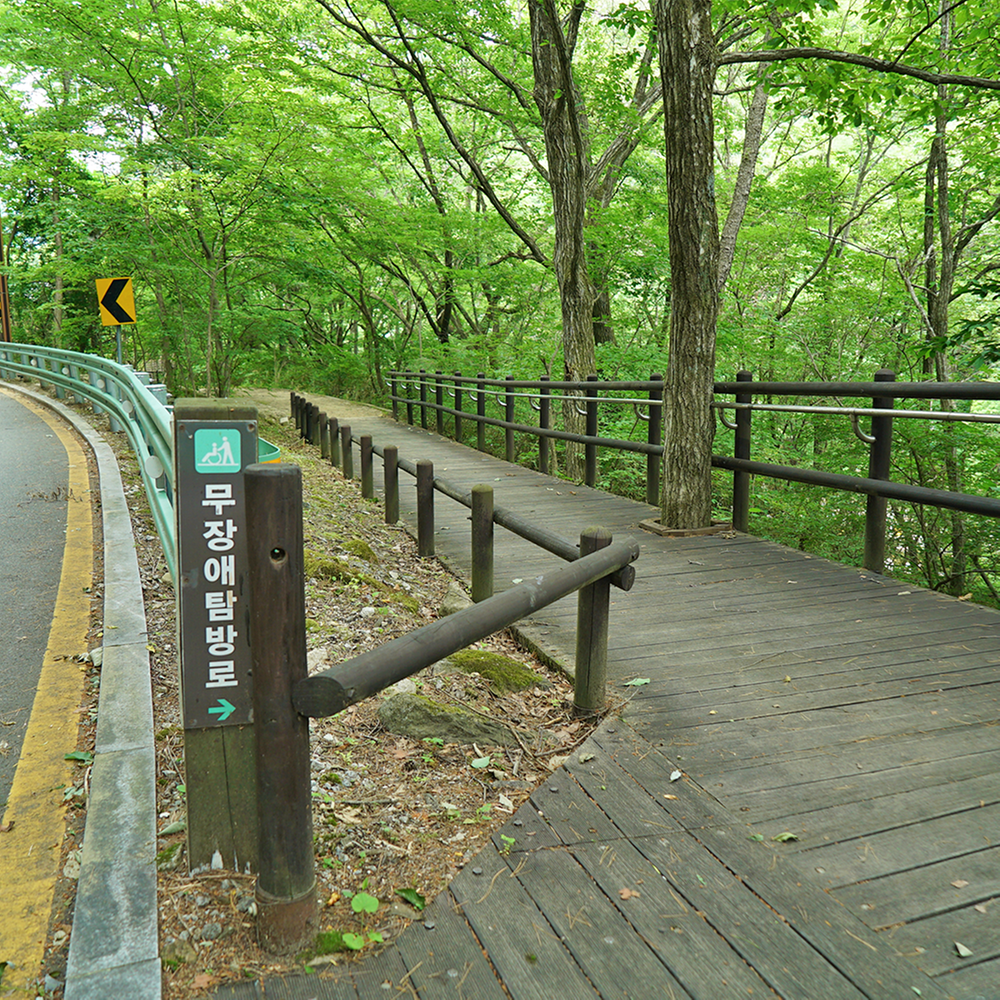 덕유대자동차야영장