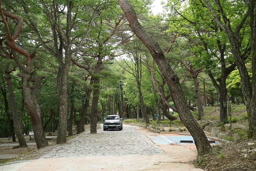 덕유대자동차야영장