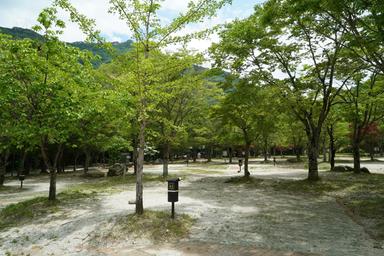 캠핑장소개 이미지