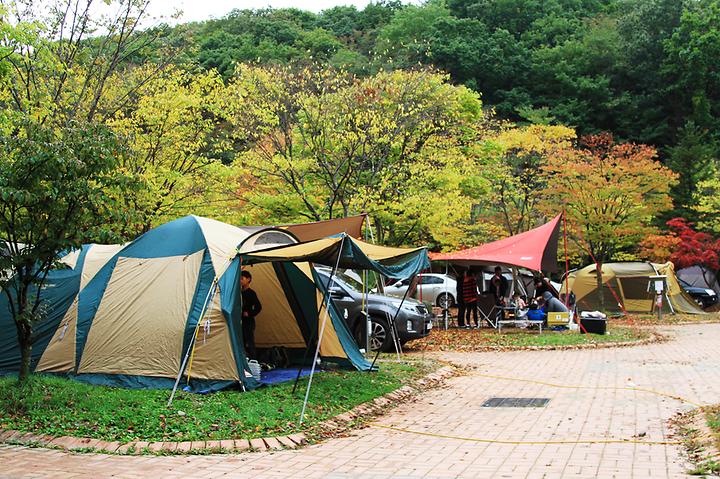 덕유대 자동차야영장 메인 이미지