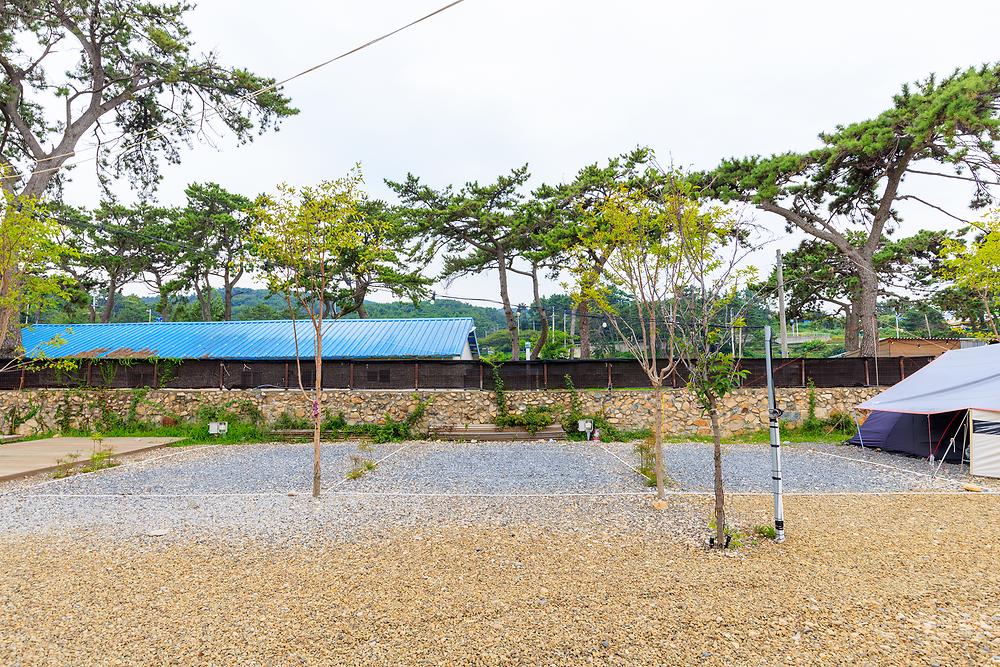 주전패밀리캠핑장