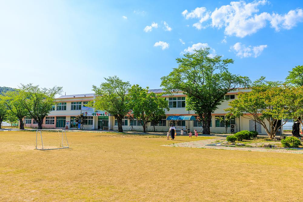 안림딸기마을 캠핑장
