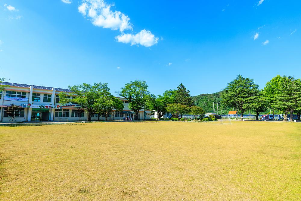 안림딸기마을 캠핑장