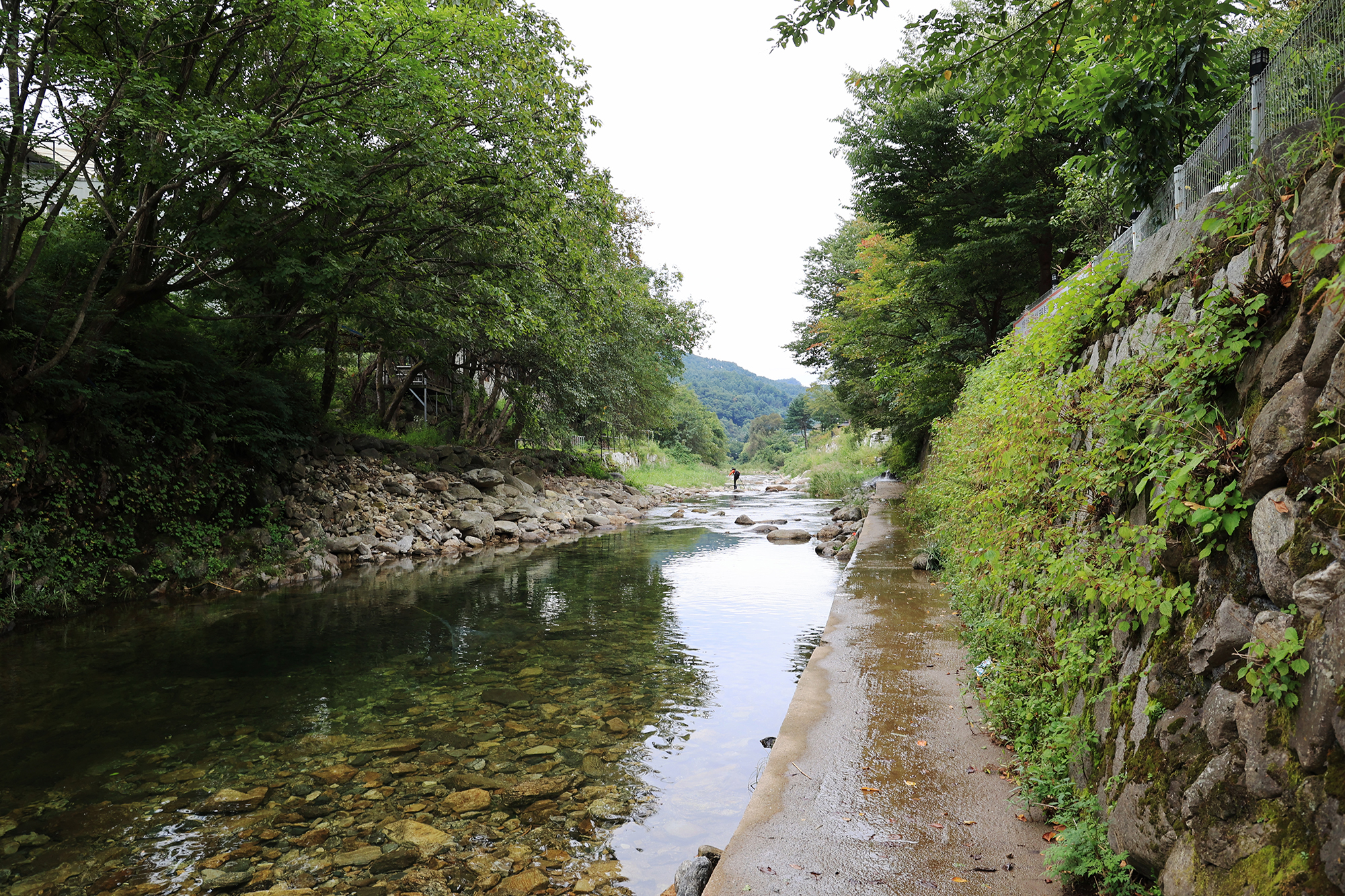 가평물의나라 오토캠핑장