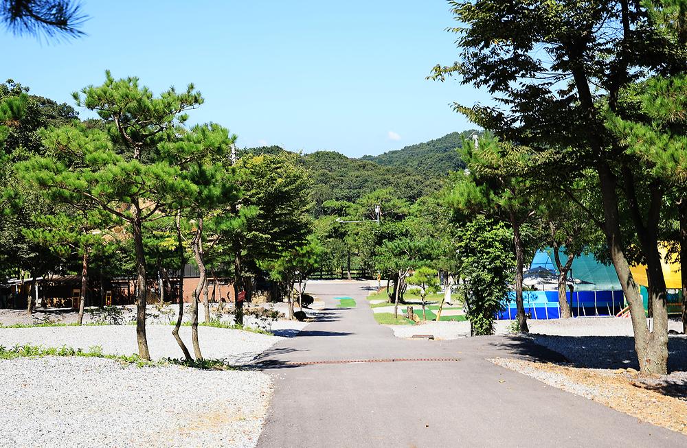 아미캠핑장