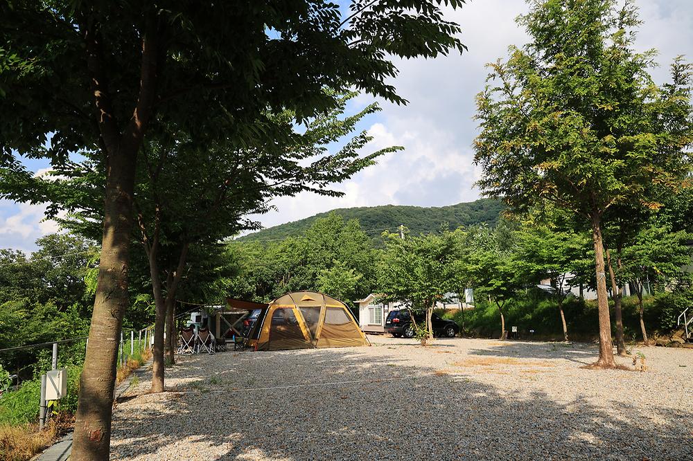 산머루농원캠핑장