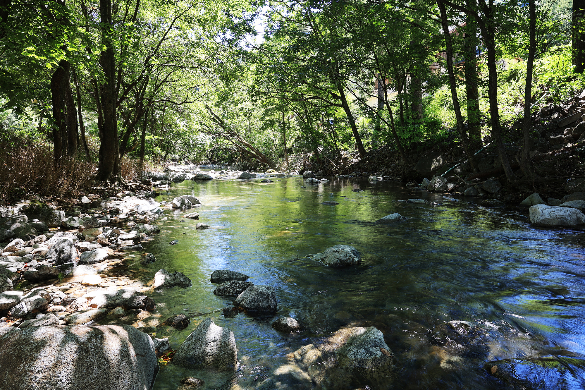 평창 자연속쉼표캠핑장