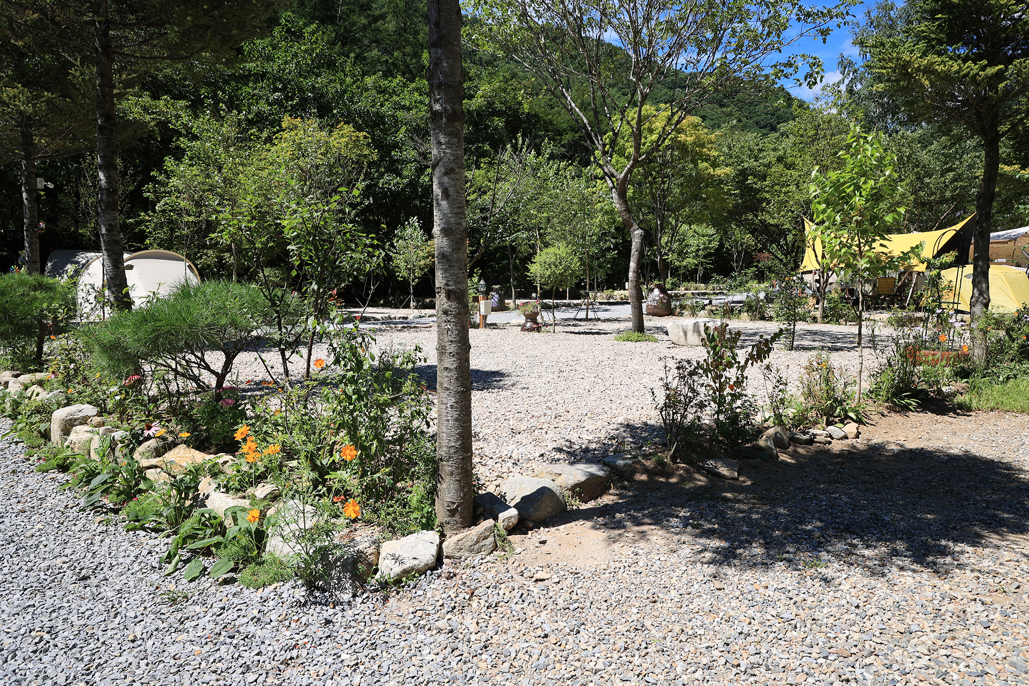 평창 자연속쉼표캠핑장