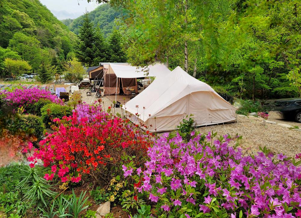 평창 자연속쉼표캠핑장