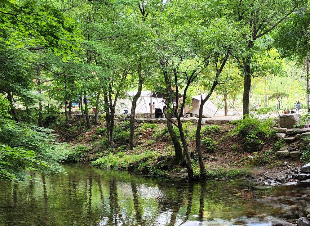 평창 자연속쉼표캠핑장
