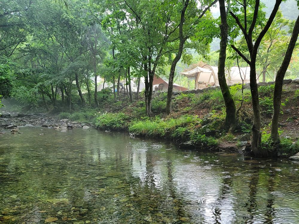 평창 자연속쉼표캠핑장