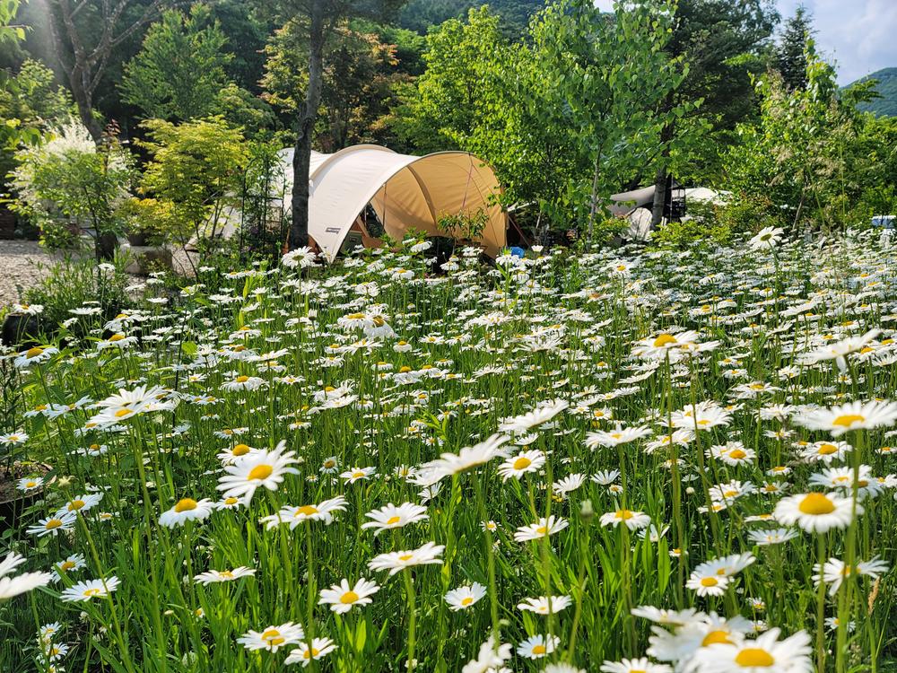평창 자연속쉼표캠핑장