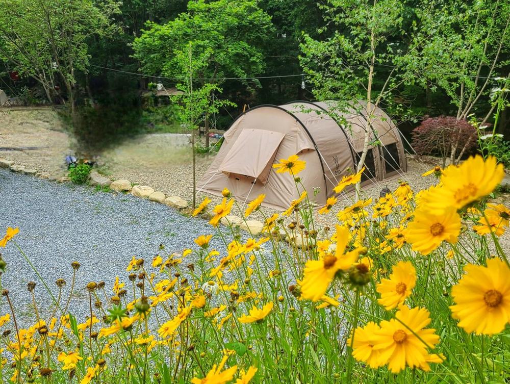 평창 자연속쉼표캠핑장