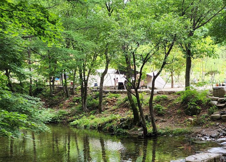 평창 자연속쉼표캠핑장 메인 이미지