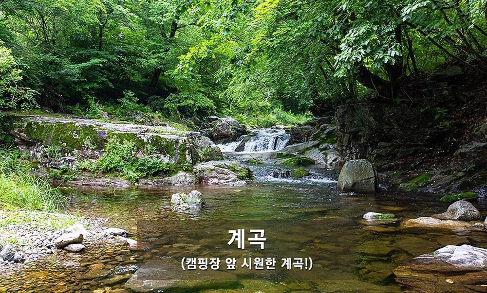 해마루 캠핑장